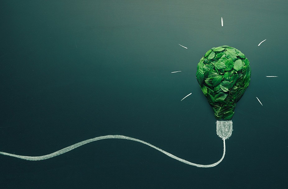 Sustainability Commitment